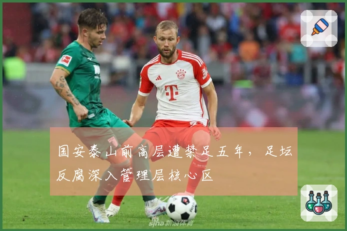 国安泰山前高层遭禁足五年,足坛反腐深入管理层核心区